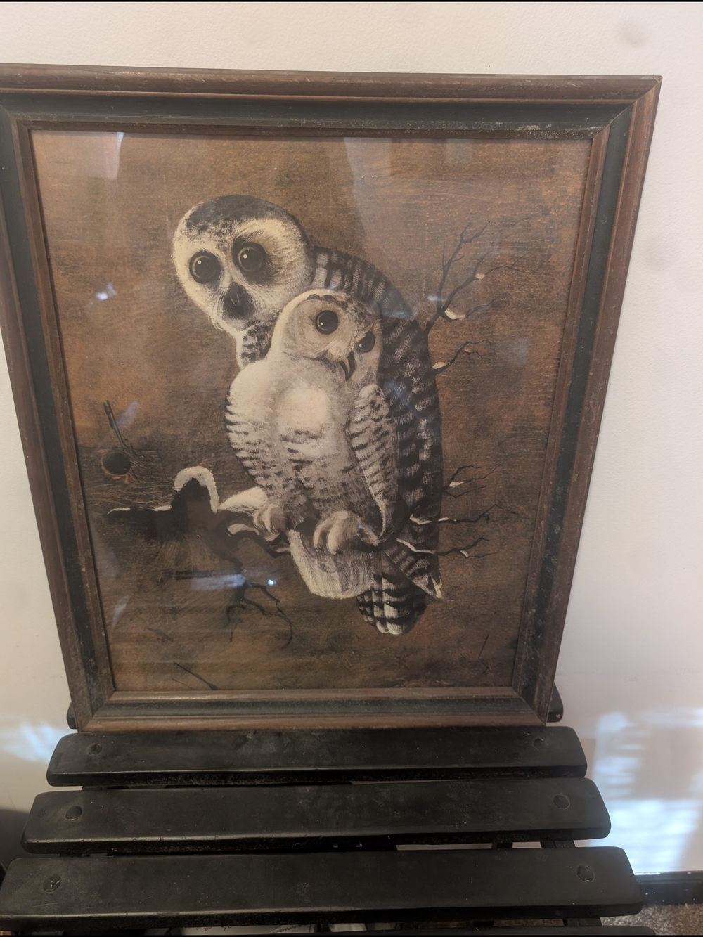 Framed Vintage Owl Art Print in Brown and Cream
